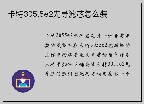 卡特305.5e2先导滤芯怎么装